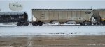 CGLX 3926